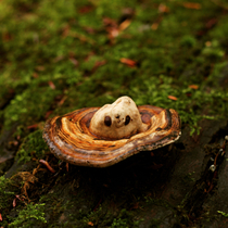 This face on a mushroom i found today