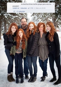 This familys so ginger they just make standard bread houses around Christmas time