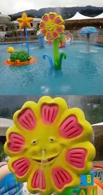 This Flower in a water park
