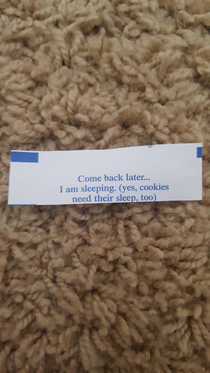 This fortune cookie I got