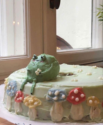 This frog cake lives rent free in my head