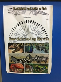 This gem I found in a science class