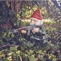 This Gnome with a Gun