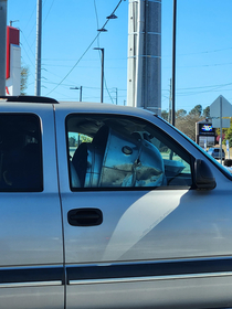 This guy got iron giant in his passenger seat