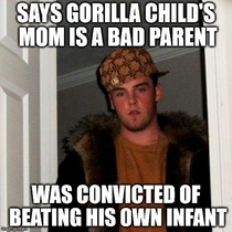 This guy has a problem with the mother of the child that fell into the gorilla cage