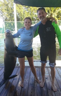 This Happy Seal has got some tricks up his wings Its Not Safe to Sea