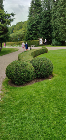 This hedge in a park was clearly not a great idea