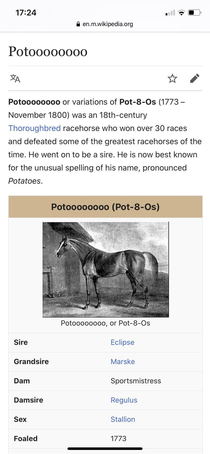 This horse is a great reminder that our generation did not invent shitposting it merely adapted it to another form