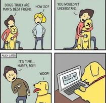 This hurts as a dog person But its funny
