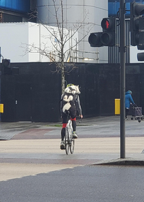 This husky backpack with his eyes on the road ahead