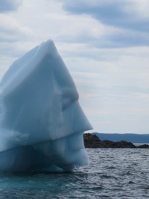This icebergs parents melted so now it fights global warming