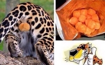 This image will now always be in my head when I eat cheese balls
