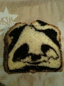 This inbred Panda looks so baked
