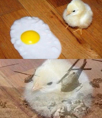 This is a little too eggstreme for me