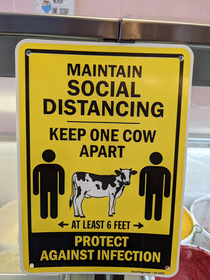 This is Cow Length Discrimination