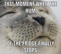 This is especially true when youre living in a small apartment or your fridge is loud