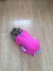 This is how my daughter hides when we play hide and seek
