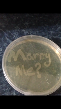 This is how my scientist brother proposed to his girlfriend