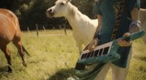 This is just a guy wailing on a keytar with horses headbanging in the background 