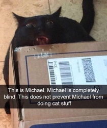 This is Michael