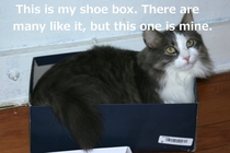 This is My Shoebox