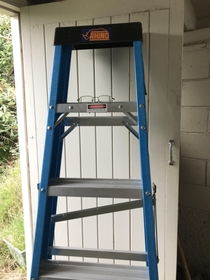 This is my step ladder I never knew my real ladder