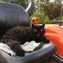This is my tractor meow