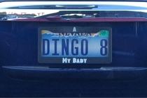 This is officially my new favorite license plate and holder combination