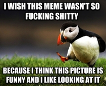 This is probably a semi-popular opinion Puffins are cute