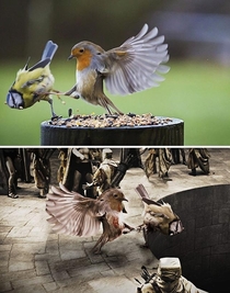 This is SPARTA