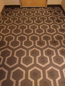 This is the carpet in my hotel room
