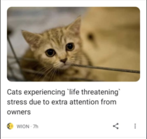 This is the only stress we need in our life