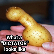 This is what a DICTATOR looks like