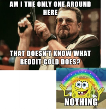 This is what Reddit gold is