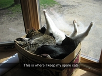 This is where I keep my spare cats
