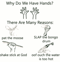 This is why we have hands