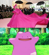 This isnt even her final form