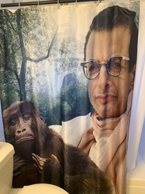 This Jeff Goldblum shower curtain at my Airbnb