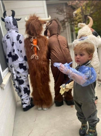 This kid wins Halloween