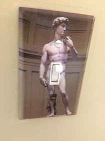 This light switch cover