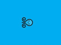 This little blue octopus is mesmorizing