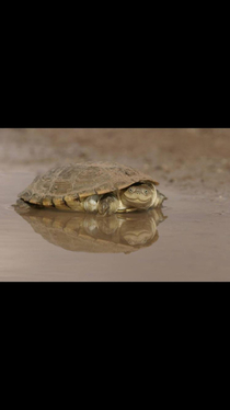 This little guy is happy to see you