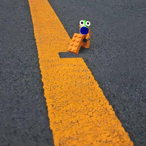 This little guy is stealing the road paint