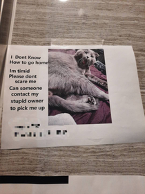 This lost cat poster