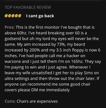 This monitor review