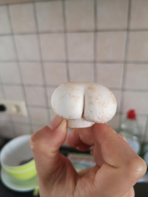 This mushroom that looks like a butt