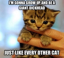 This my exact thought when looking at a kitten