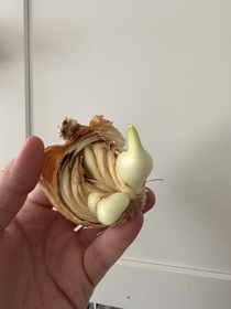 This onion is giving me the finger