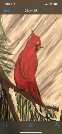 This paint night cardinal has seen some things