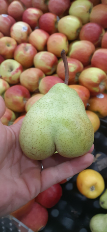 This pear at the grocery store
